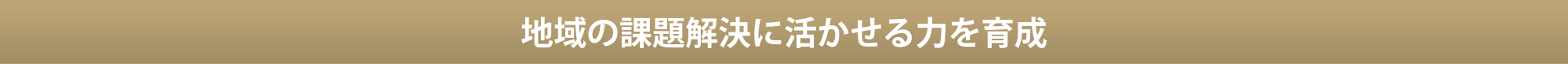 地域を元気にする新たな価値を創造する力を育成